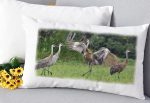 Horizontal Lumbar Pillow Sandhill Cranes