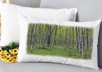 Horizontal Lumbar Pillow Spring Forest