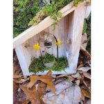 Inside Magical Tooth Fairy