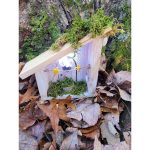 Inside Magical Tooth Fairy Door Light On